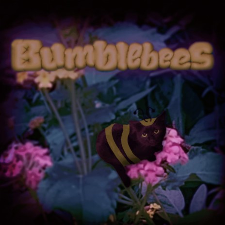 Bumblebees | Boomplay Music