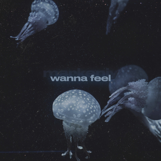 wanna feel