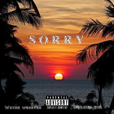 S O R R Y | Boomplay Music