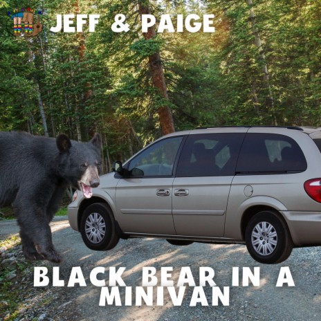 Black Bear in a Minivan