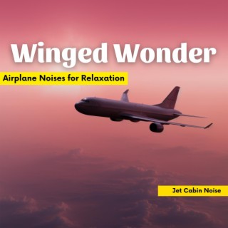 Winged Wonder: Airplane Noises for Relaxation