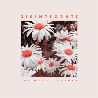 Disintegrate lyrics | Boomplay Music