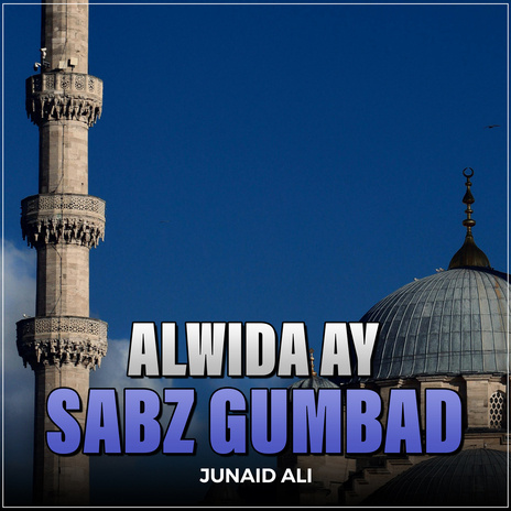 Alwida Ay Sabz Gumbad | Boomplay Music