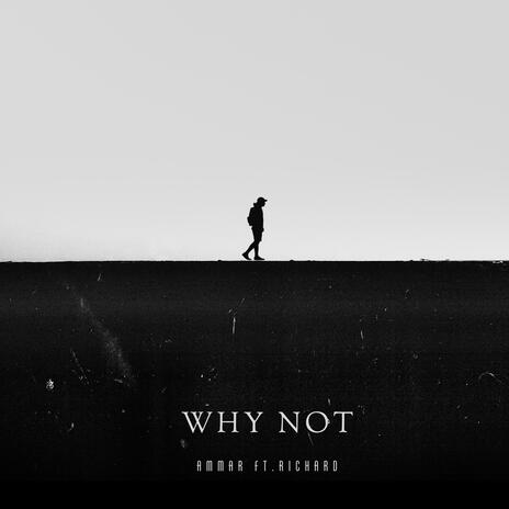 Why Not ft. Richard | Boomplay Music