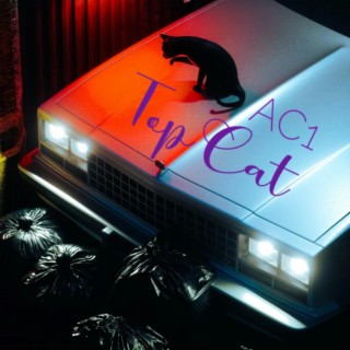 Top Cat lyrics | Boomplay Music