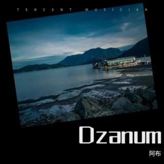 Dzanum