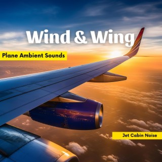 Wind & Wing: Plane Ambient Sounds