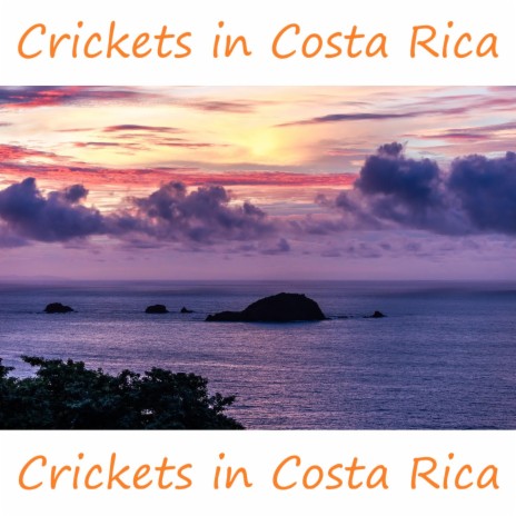 Crickets in Costa Rica | Boomplay Music