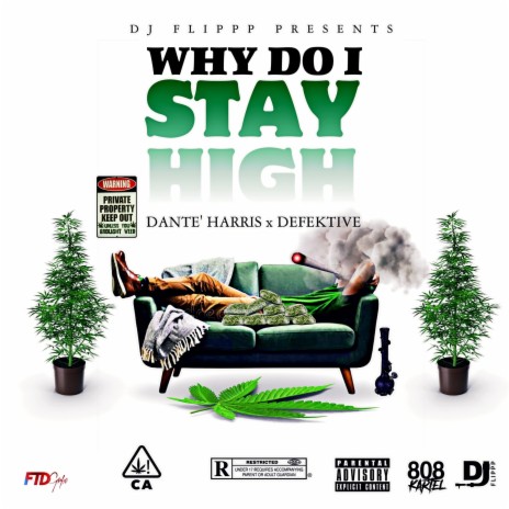 Why Do I Stay High ft. Dante' Harris & Defektive | Boomplay Music