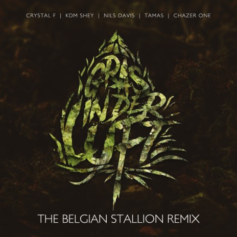 Gras in der Luft (Extended RMX Intrumental) ft. TAMAS, KDM Shey, Nils Davis, zero/zero & The Belgian Stallion | Boomplay Music