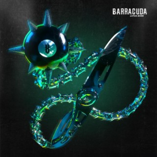 Barracuda