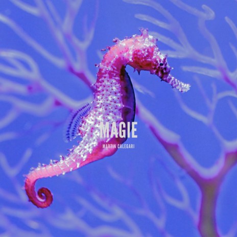 Magie | Boomplay Music