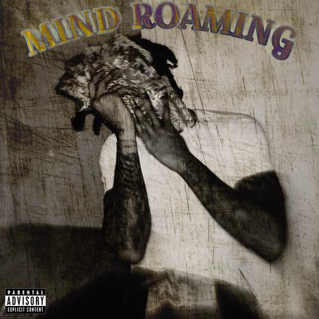 Mind Roaming | Boomplay Music