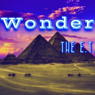 Wonder