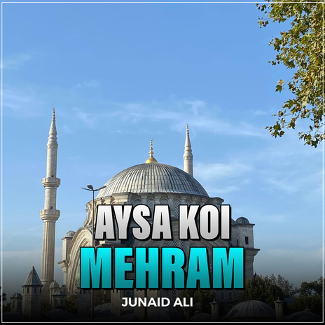 Aysa Koi Mehram | Boomplay Music