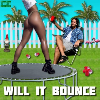 Will It Bounce