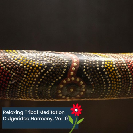 Australian Traditional Didgerdioo (Anlaog Drumming) (Original Mix) | Boomplay Music