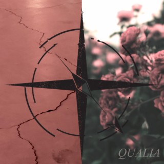 Qualia