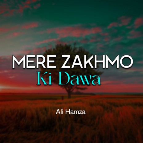 Mere Zakhmo Ki Dawa | Boomplay Music