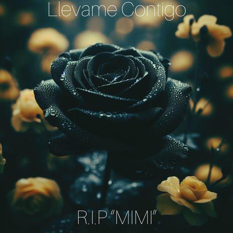 Llevame Contigo | Boomplay Music