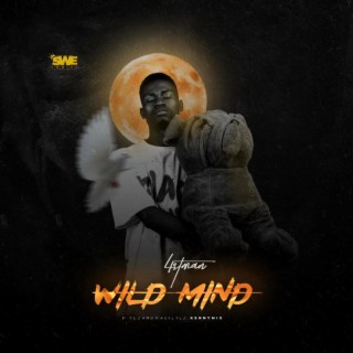 Wild Mind lyrics | Boomplay Music