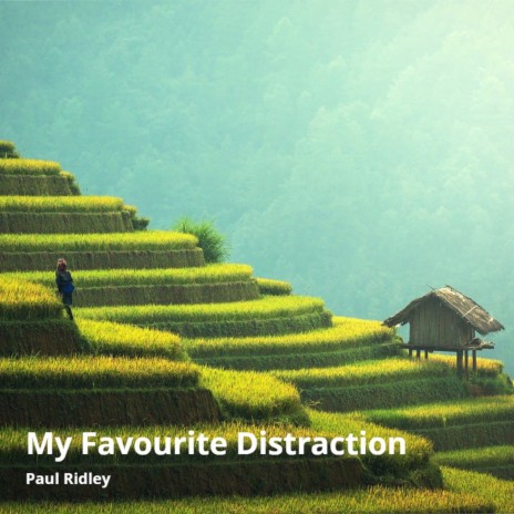 My Favourite Distraction | Boomplay Music