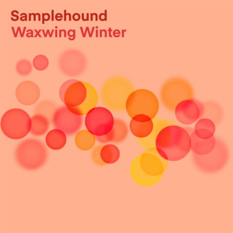 Waxwing Winter, Pt. 1 | Boomplay Music