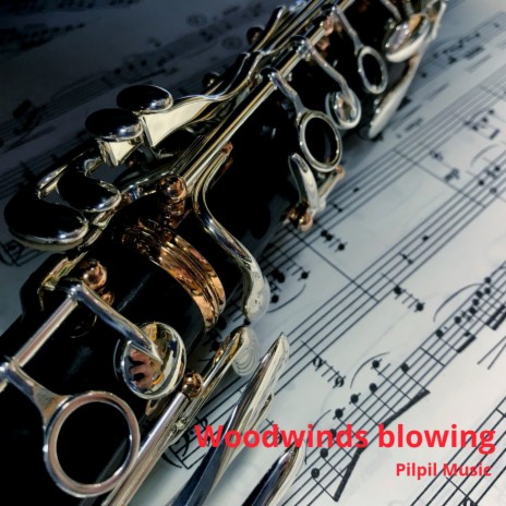 Tireless Pilgrim (Woodwinds) | Boomplay Music