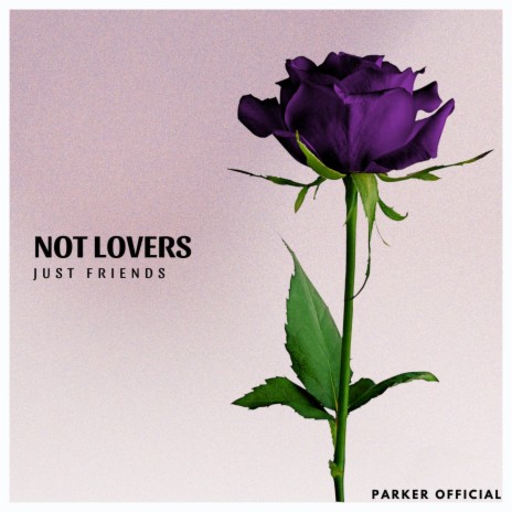 Not Lovers Just Friends | Boomplay Music