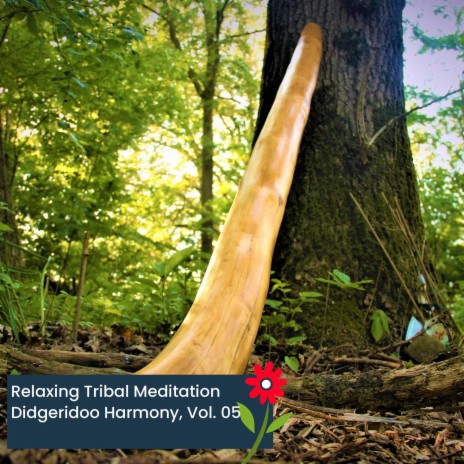 Happening Tribe (Didgeridoo Analog Drums) (Original Mix) | Boomplay Music