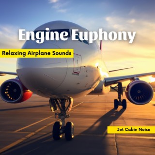 Engine Euphony: Relaxing Airplane Sounds