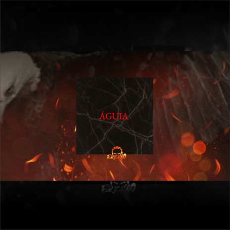 Águia | Boomplay Music