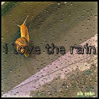 i love the rain lyrics | Boomplay Music