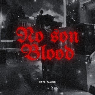 NO SON BLOOD lyrics | Boomplay Music