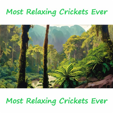 Most Relaxing Crickets Ever | Boomplay Music