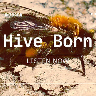 Hive Born