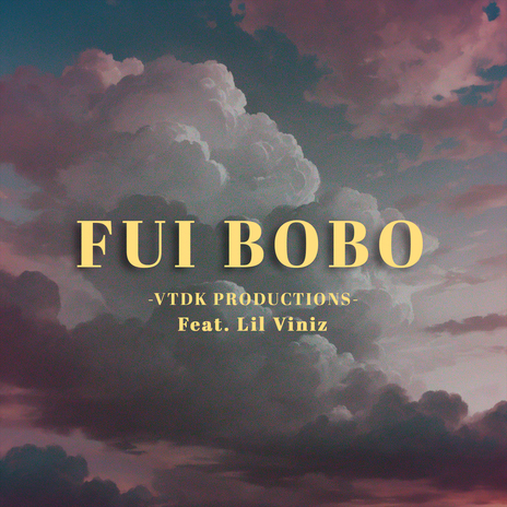 Fui Bobo | Boomplay Music