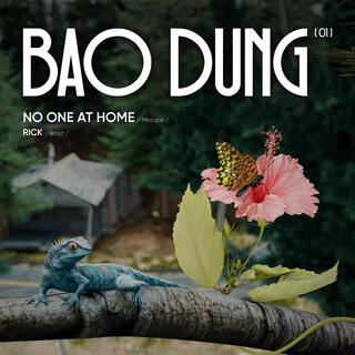 BAO DUNG