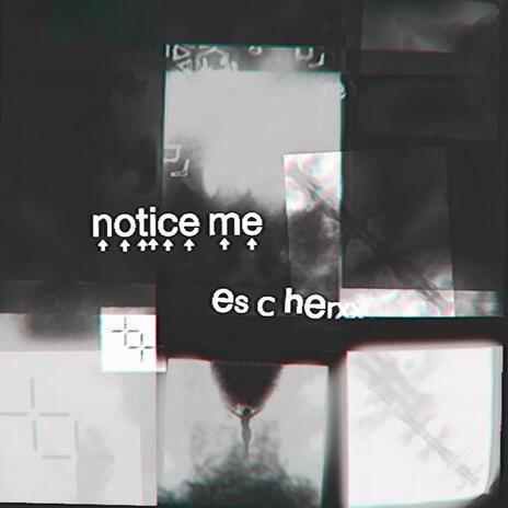 notice me | Boomplay Music