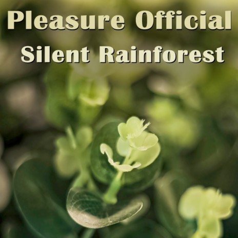 Silent Rainforest