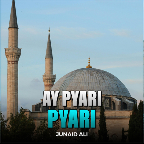 Ay Pyari Pyari | Boomplay Music