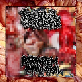 BODILY STEW//POSTMORTEM HUMAN OFFAL