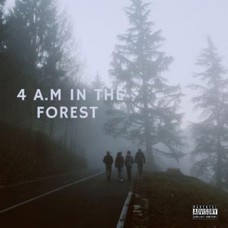 4 A.M In The Forest