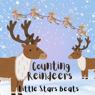 Counting Reindeers