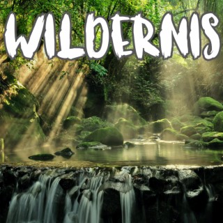 Wildernis lyrics | Boomplay Music