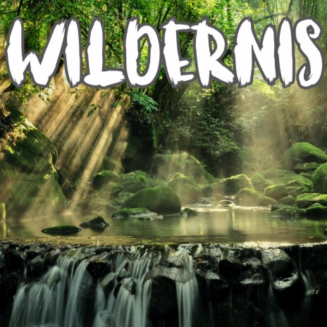 Wildernis | Boomplay Music