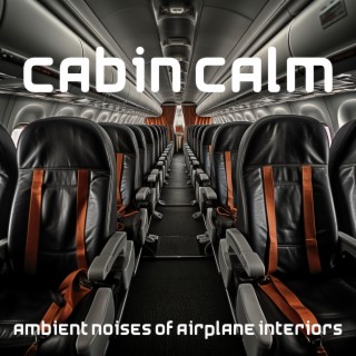 Cabin Calm: Ambient Noises of Airplane Interiors