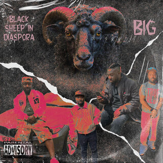 Black Sheep:the Intro