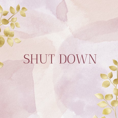 Shut Down | Boomplay Music