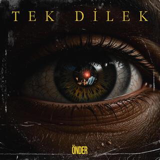 Tek Dilek